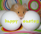 Easter mouse