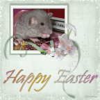 Easter Rat Babie