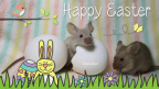 Easter Mice