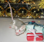 Christmas mouse