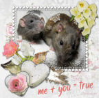 Me + You = True
